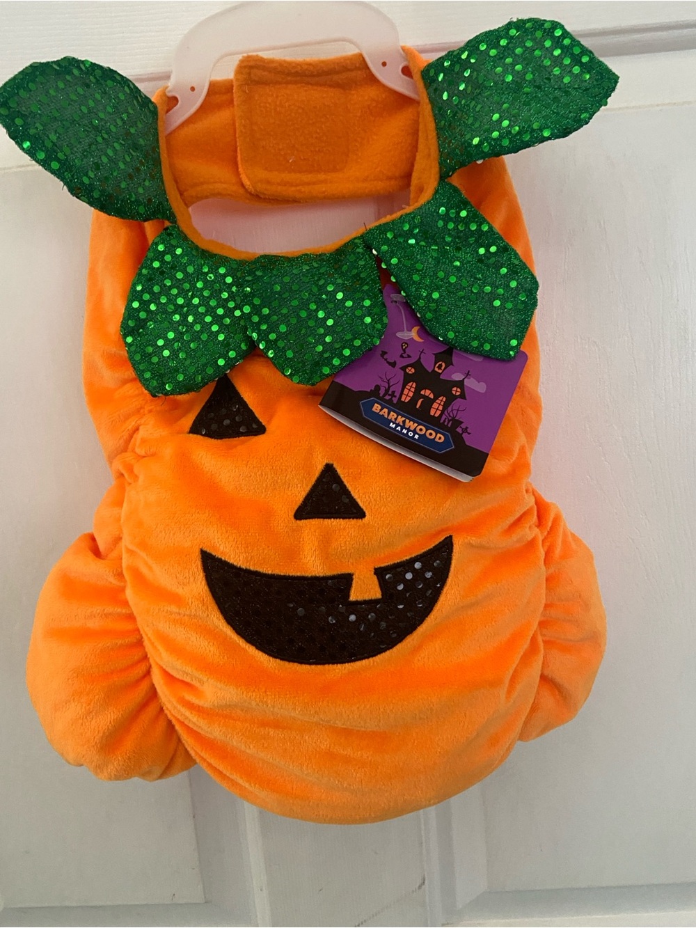 Orange Pumpkin pet Costume with Green Leaf Collar